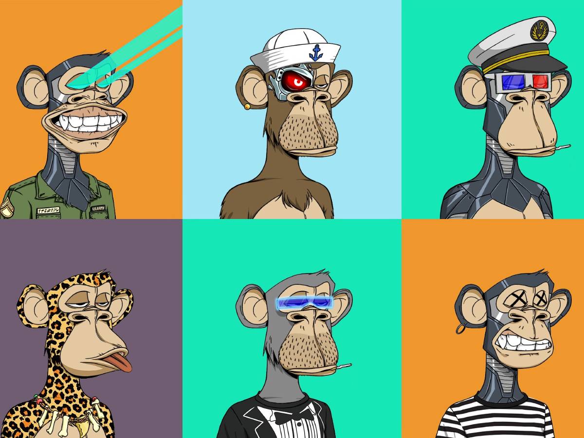Bored Ape Yacht Club BAYC NFT