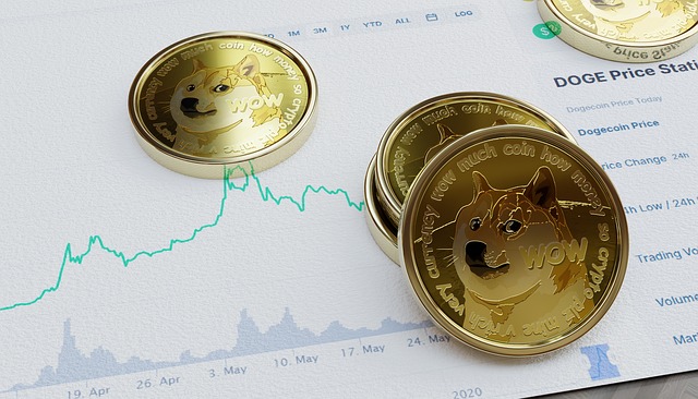 Dogecoin Çıktığından Beri Nasıl Bir Performans Gösterdi?
