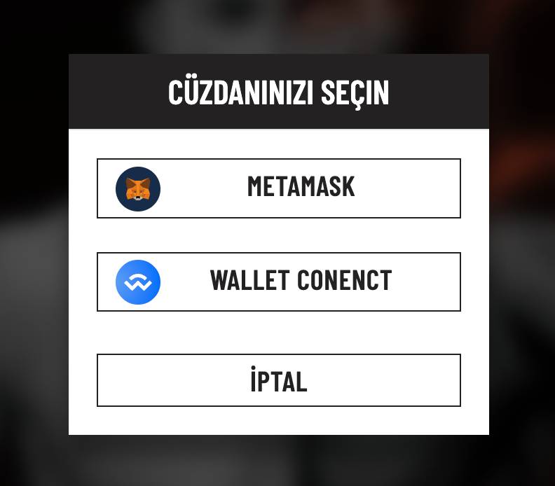 FightOut Nasıl Satın Alınır satin alma cuzdan secimi