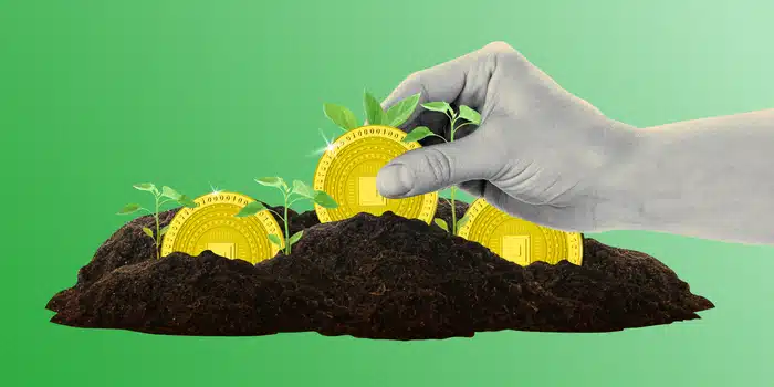 Token Gereksinimleri