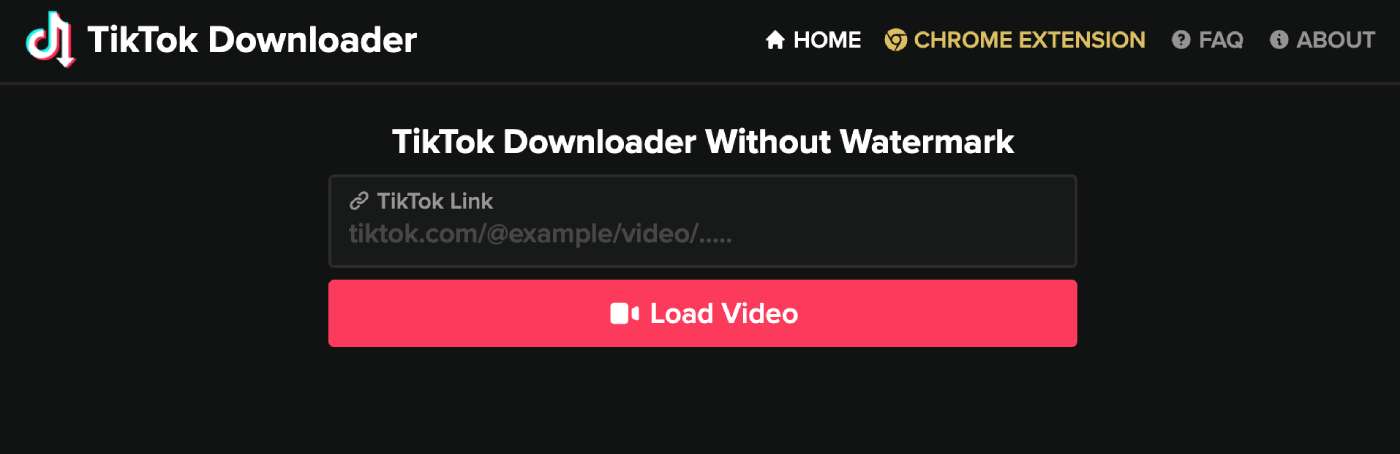 TikTok Downloader