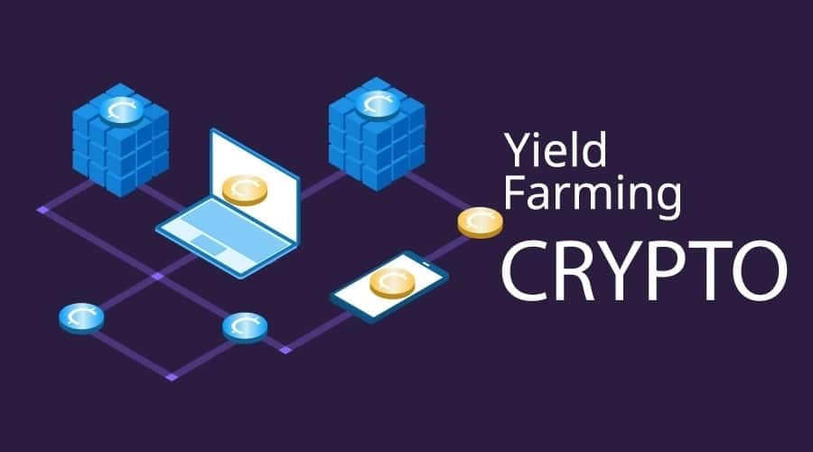 Yield Farming Nedir?