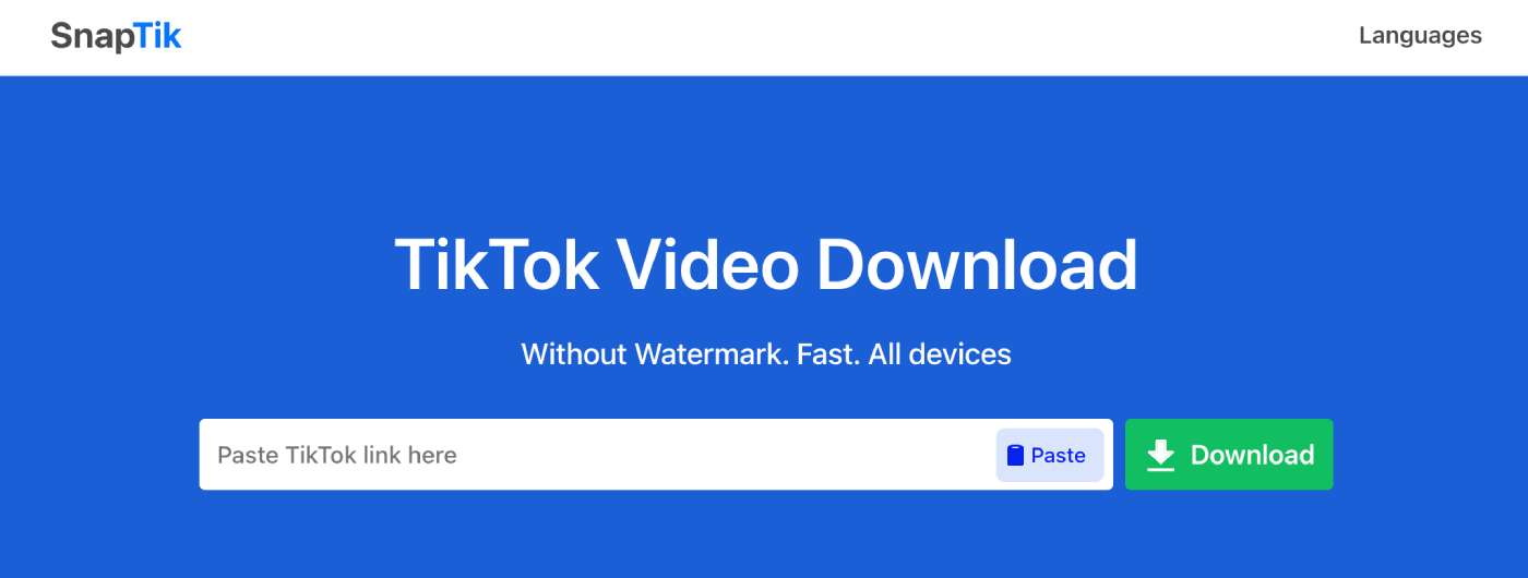snaptik website - tiktok video indirme