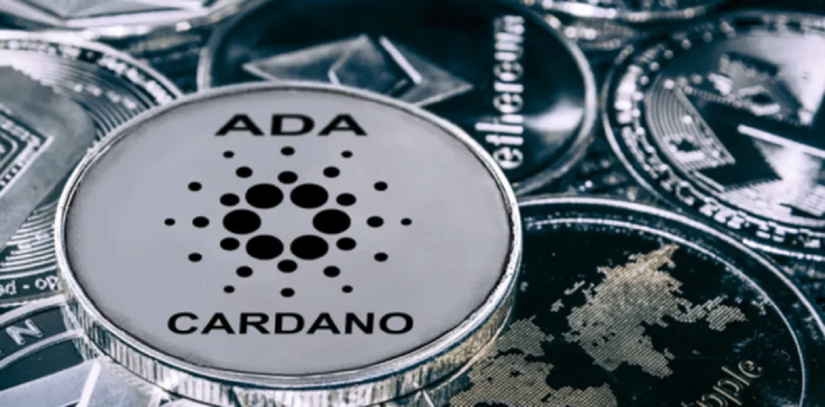 Cardano Öngörü Ve Tahminlerine Genel Bakış