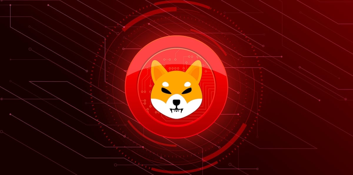 Shiba Inu Fiyat Tahmini - kurucusu kimdir