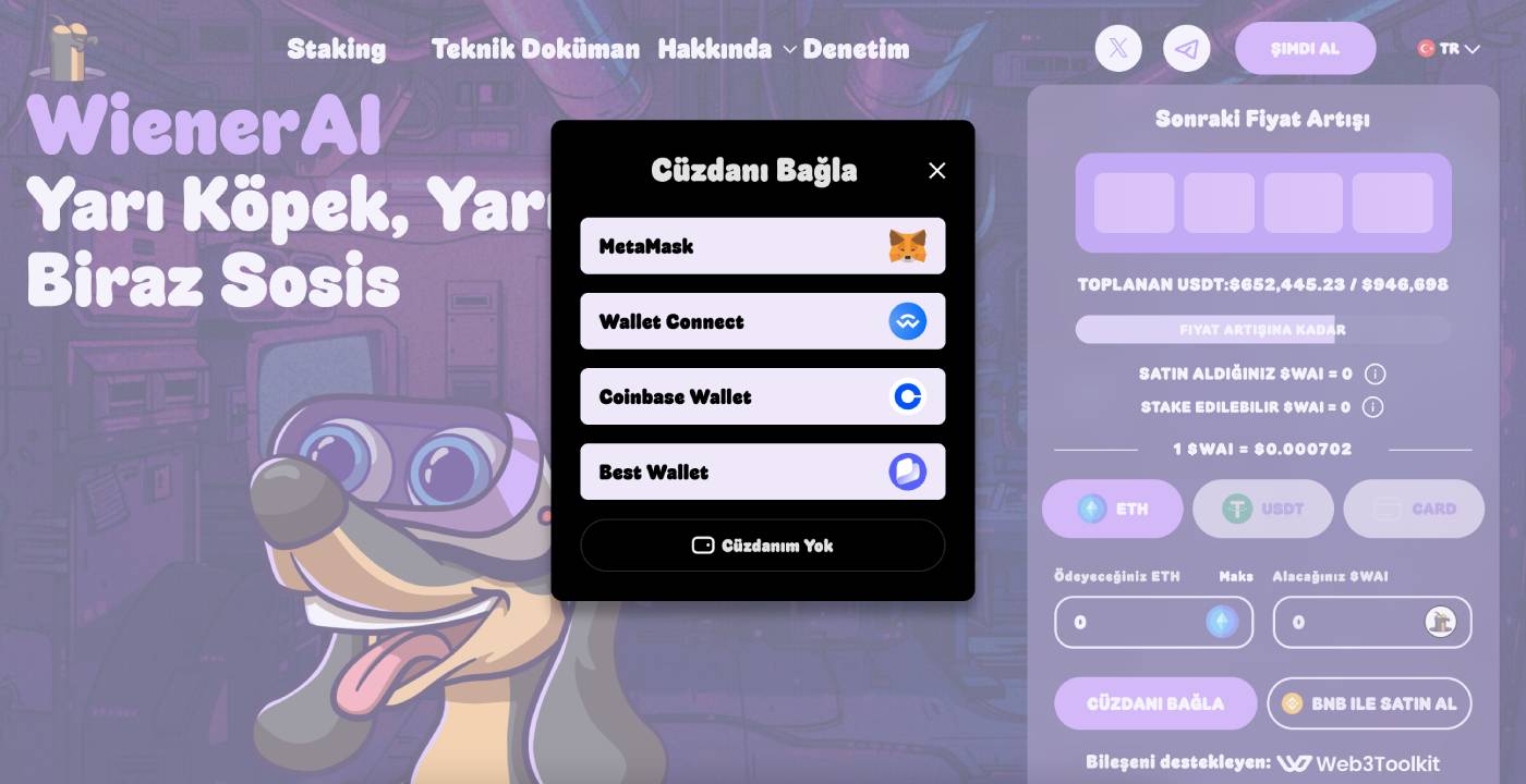 WienerAI cüzdan bağlama