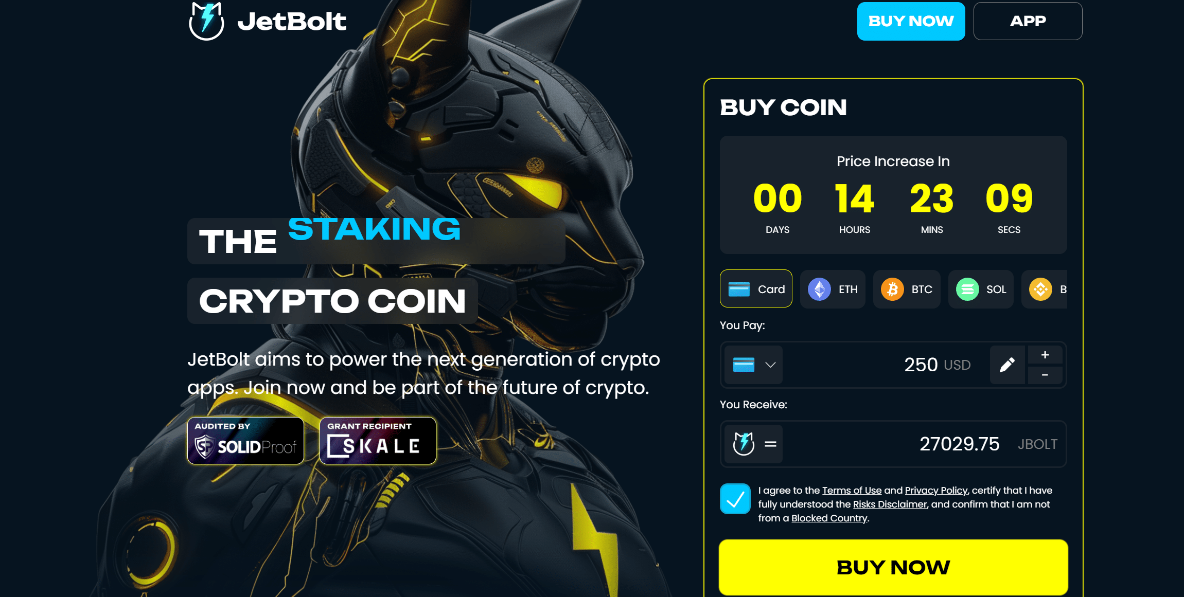 Ayı piyasası en iyi coin fırsatları - jetbolt