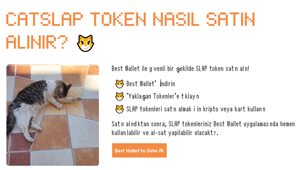 Ön Satışta Olan En İyi Coinler