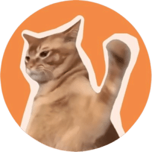 Catslap Token ($SLAP)