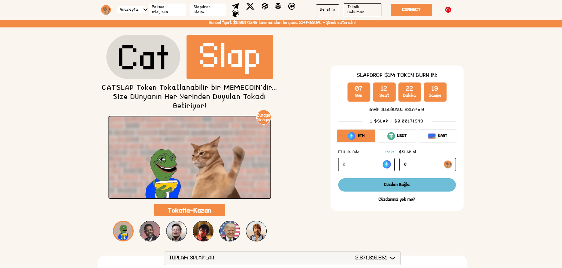 Yenilikçi Kedi Temalı Meme Coin