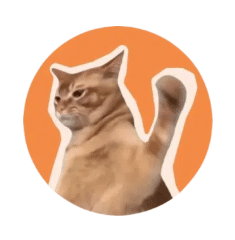 CatSlap - Yüksek Potansiyele Sahip Kripto Paralar