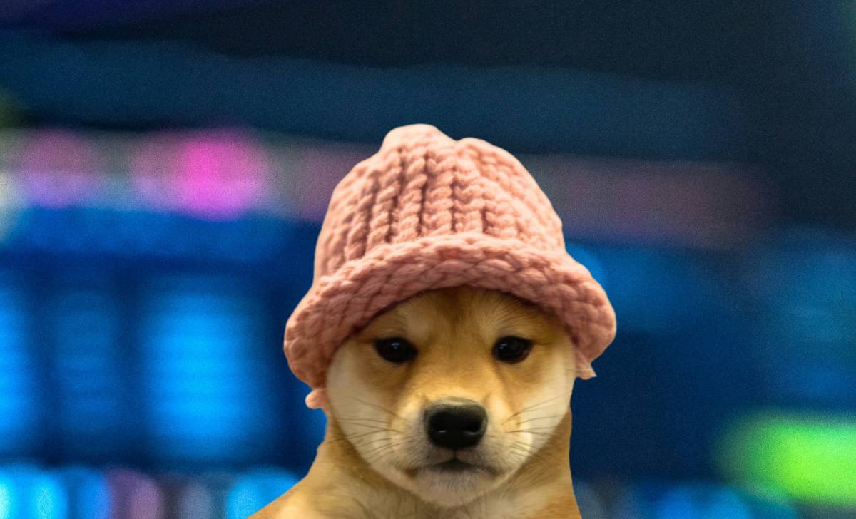 Dogwifhat coin WIF