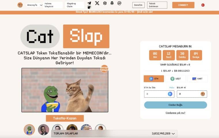 En İyi Düşük Piyasa Değerli Coinler. Catslap