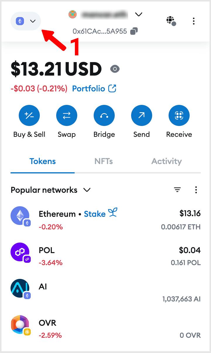MetaMask Ağ Ekleme Tarayıcı Uzantısı 1